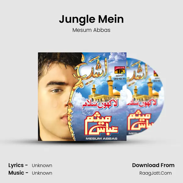 Jungle Mein MP3 Song by Mesum Abbas Cover