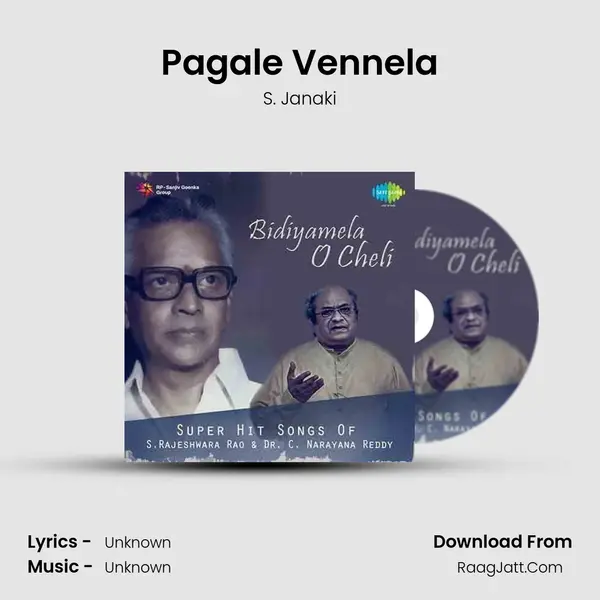 Pagale Vennela Cover