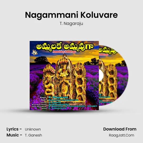 Nagammani Koluvare MP3 Song by T. Nagaraju Cover