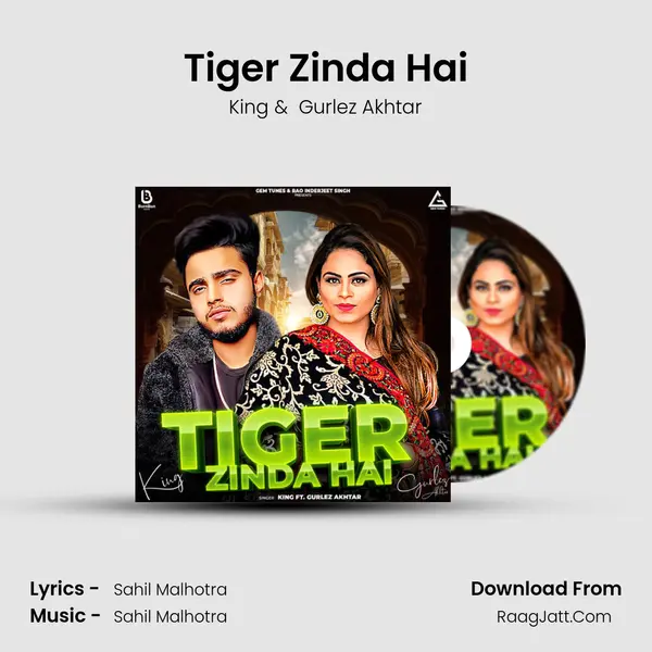 Tiger Zinda Hai MP3 Song by King Cover