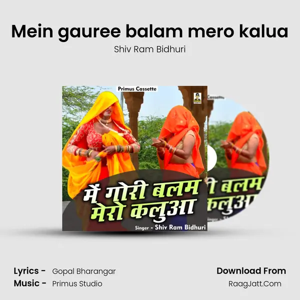 Mein gauree balam mero kalua Cover