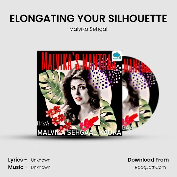 ELONGATING YOUR SILHOUETTE Cover