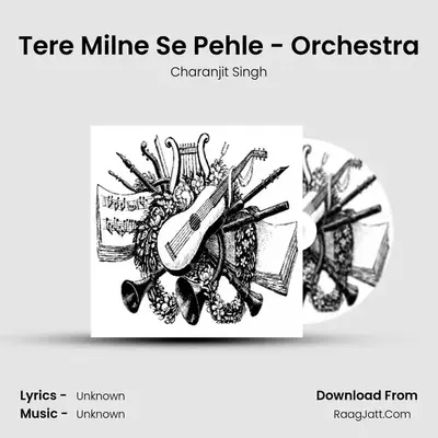 Tere Milne Se Pehle - Orchestra MP3 Song by Charanjit Singh Cover
