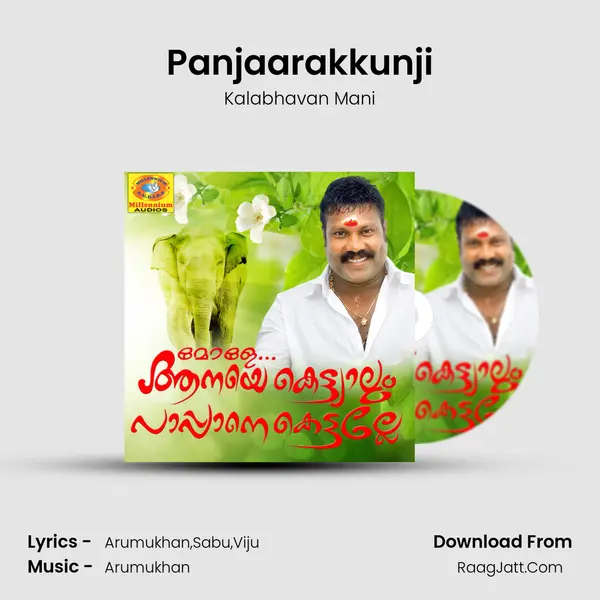 Panjaarakkunji MP3 Song by Kalabhavan Mani Cover