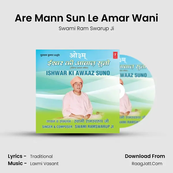Are Mann Sun Le Amar Wani MP3 Song by Swami Ram Swarup Ji Cover