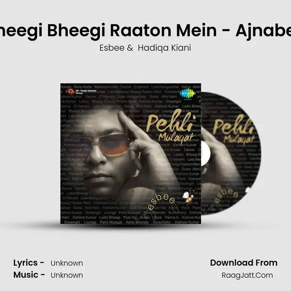 Bheegi Bheegi Raaton Mein - Ajnabee MP3 Song by Esbee Cover