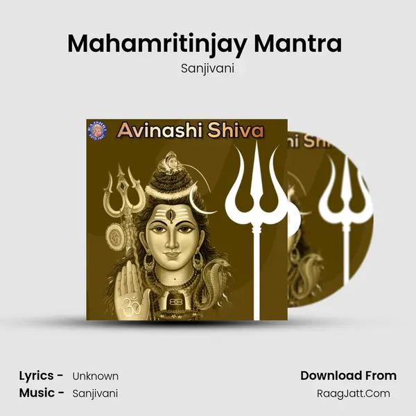 Mahamritinjay Mantra (Sanjeevani) Cover