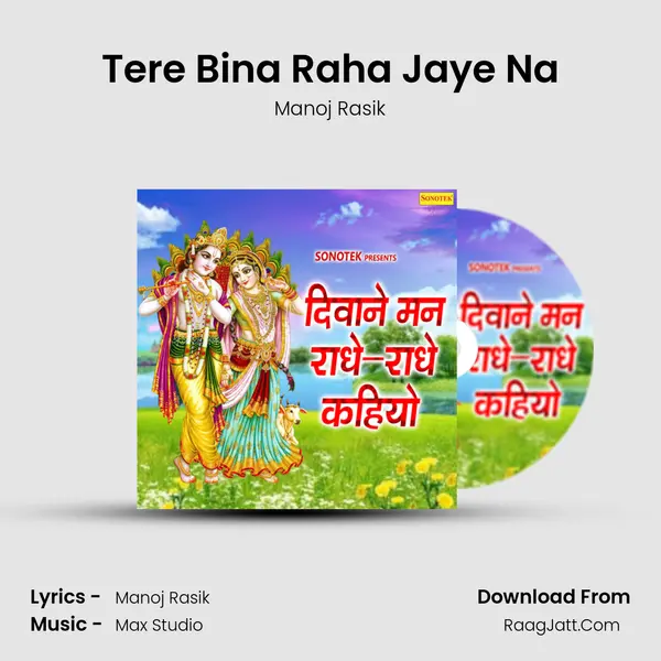 Tere Bina Raha Jaye Na mp3 song