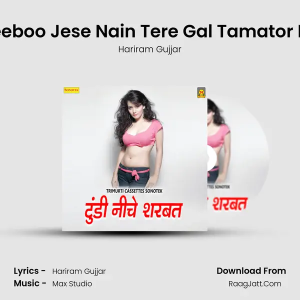 Neeboo Jese Nain Tere Gal Tamator Lal MP3 Song by Hariram Gujjar Cover