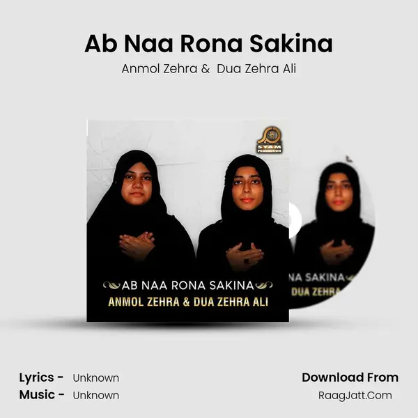 Ab Naa Rona Sakina - Single - Anmol Zehra
