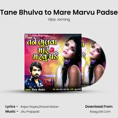 Tane Bhulva to Mare Marvu Padse - Vijay Jorrang