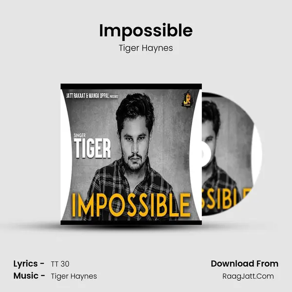 Impossible MP3 Song by Tiger Haynes Cover