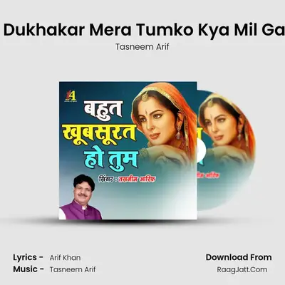 Dil Dukhakar Mera Tumko Kya Mil Gaya MP3 Song by Tasneem Arif Cover