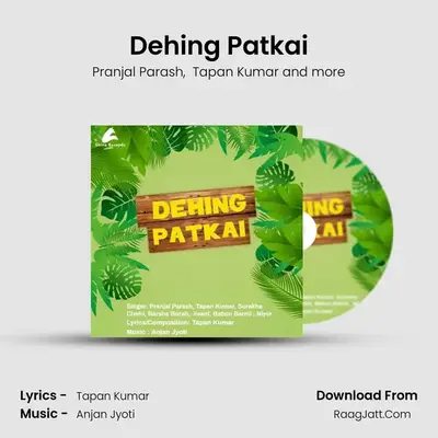 Dehing Patkai mp3 song