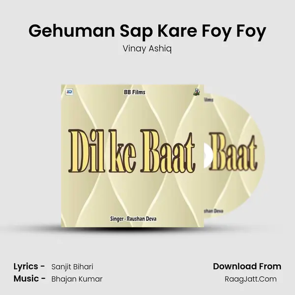 Gehuman Sap Kare Foy Foy MP3 Song by Vinay Ashiq Cover