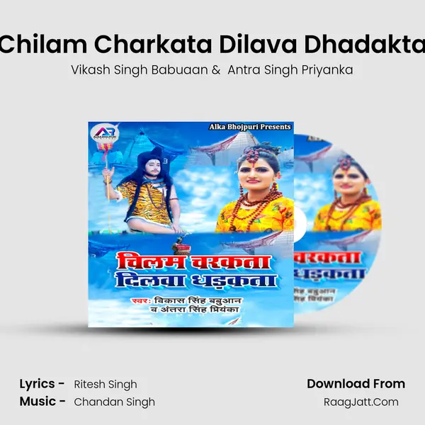 Chilam Charkata Dilava Dhadakta MP3 Song by Vikash Singh Babuaan Cover