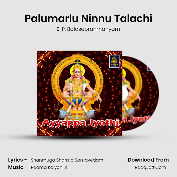 Palumarlu Ninnu Talachi MP3 Song by S. P. Balasubrahmanyam Cover