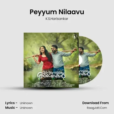 Peyyum Nilaavu MP3 Song by K.S.Harisankar Cover