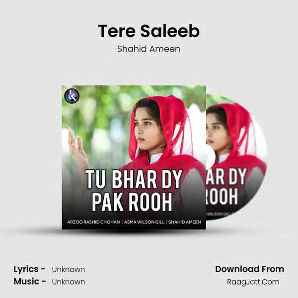 Tere Saleeb mp3 song