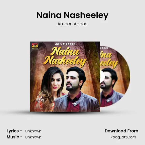 Naina Nasheeley - Single - Ameen Abbas
