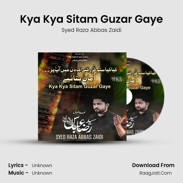Kya Kya Sitam Guzar Gaye - Single - Syed Raza Abbas Zaidi