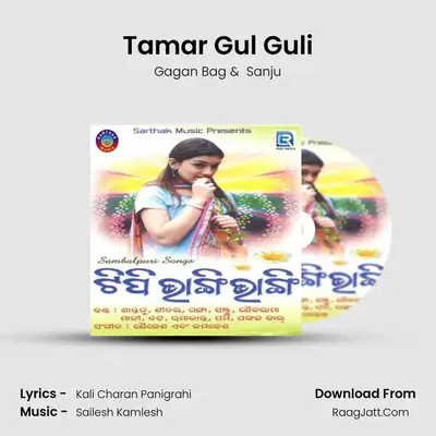 Tamar Gul Guli mp3 song