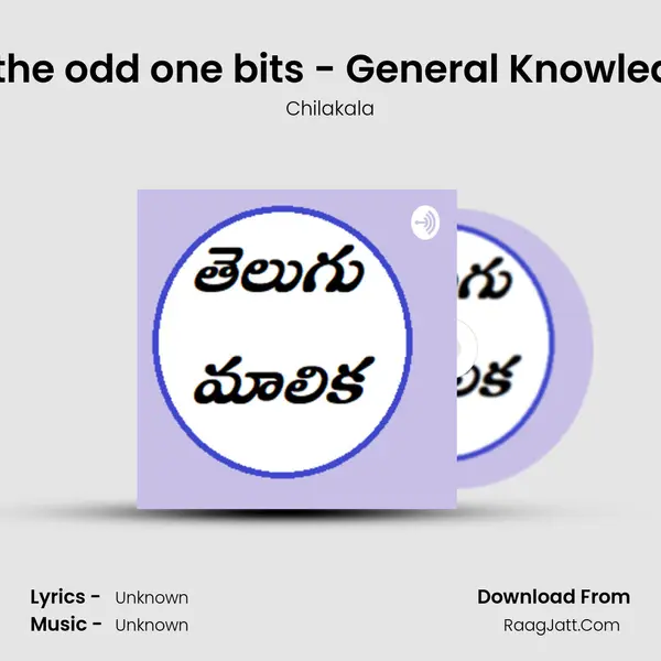 Choose the odd one bits - General Knowledge # 59 mp3 song