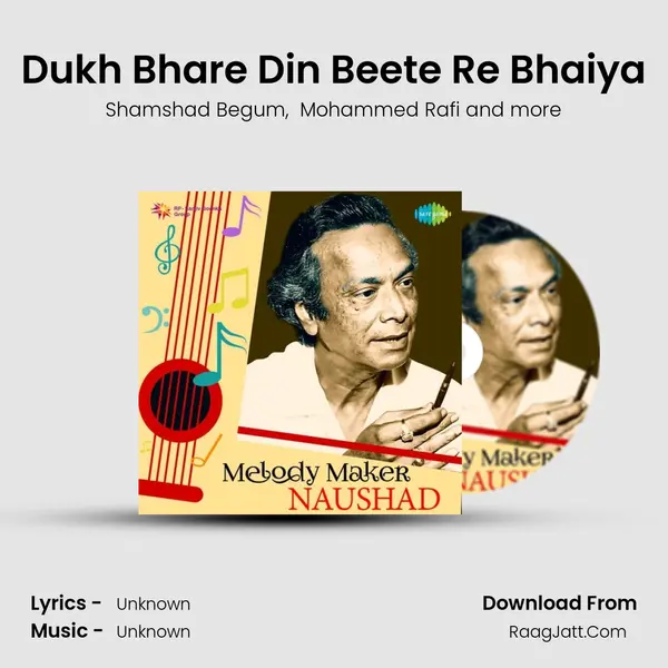 Dukh Bhare Din Beete Re Bhaiya Cover