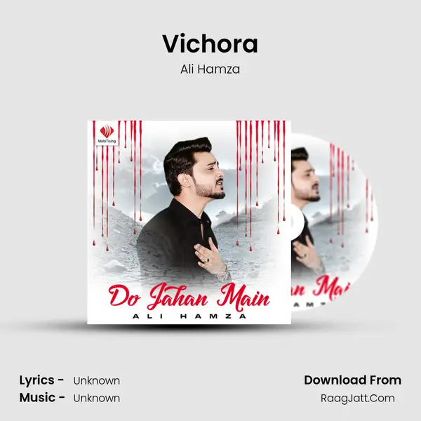 Vichora MP3 Song by Ali Hamza Cover