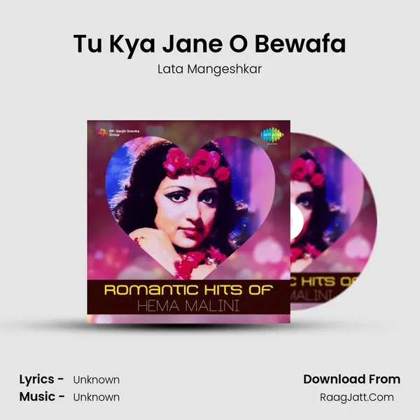 Tu Kya Jane O Bewafa Cover