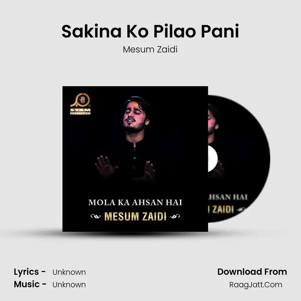Sakina Ko Pilao Pani MP3 Song by Mesum Zaidi Cover