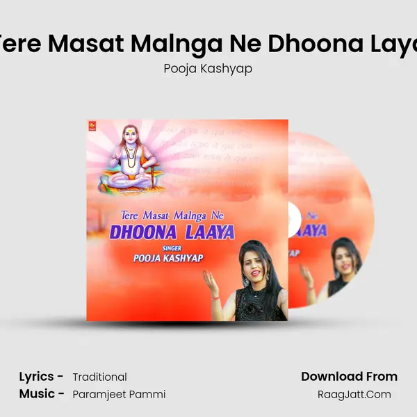 Tere Masat Malnga Ne Dhoona Laya Cover