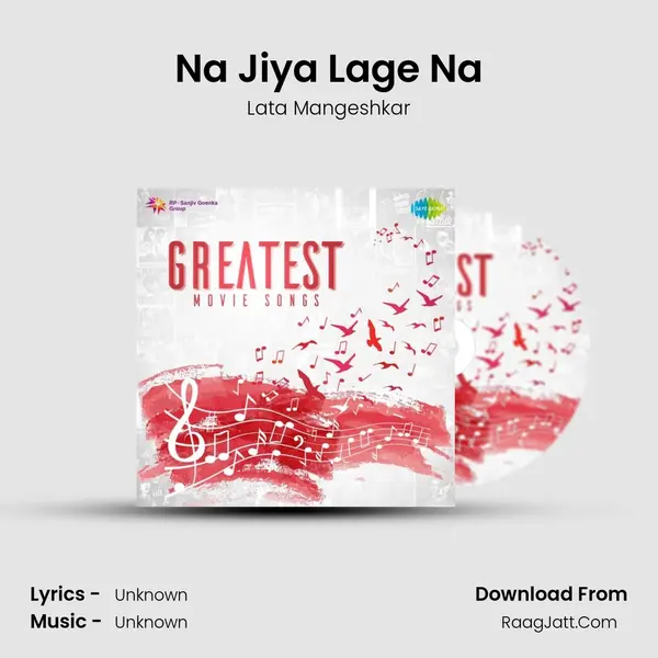 Na Jiya Lage Na Cover