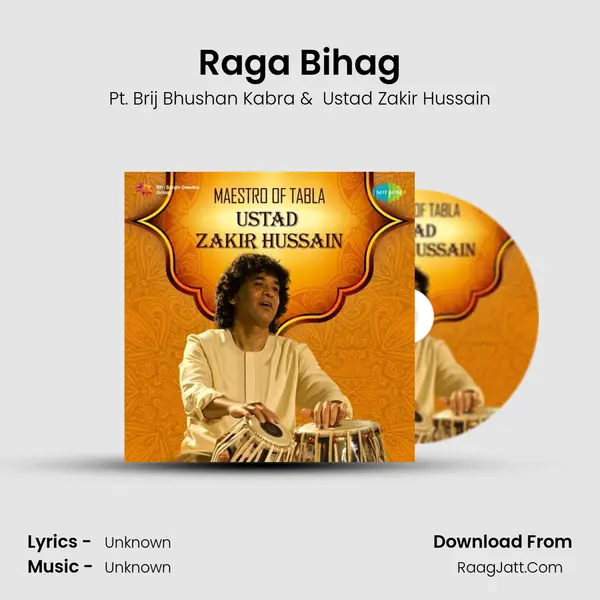Raga Bihag MP3 Song by Pt. Brij Bhushan Kabra Cover