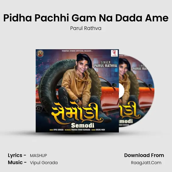 Pidha Pachhi Gam Na Dada Ame MP3 Song by Parul Rathva Cover