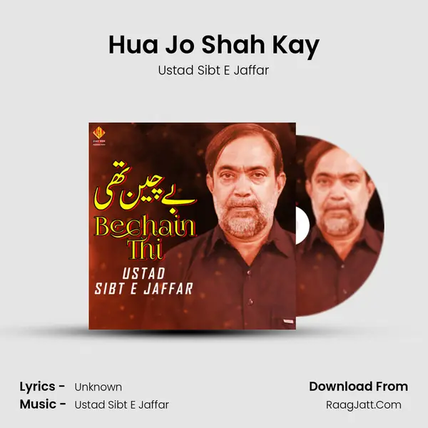 Ustad Sibt E Jaffar