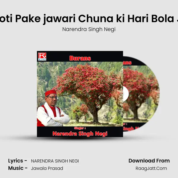 Roti Pake jawari Chuna ki Hari Bola Ji mp3 song