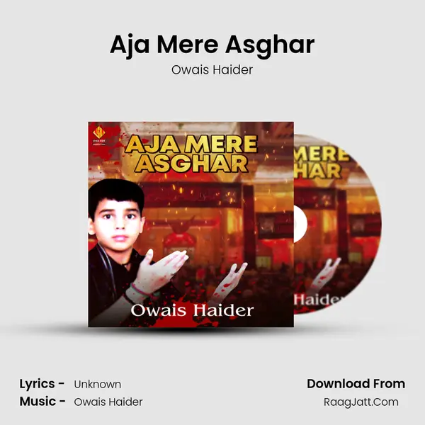 Aja Mere Asghar MP3 Song by Owais Haider Cover