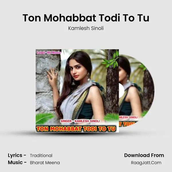Ton Mohabbat Todi To Tu Cover