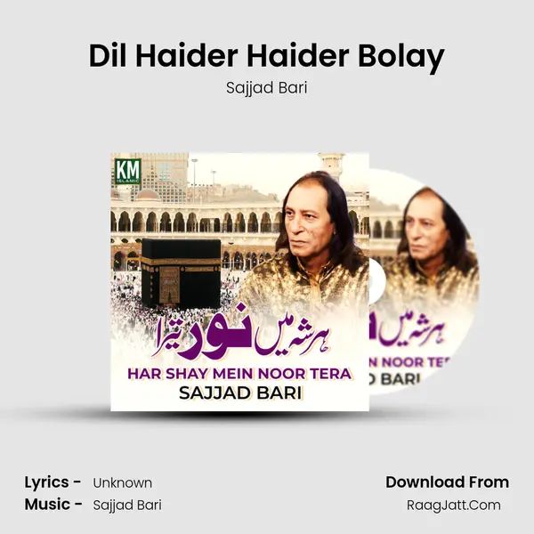 Dil Haider Haider Bolay mp3 song