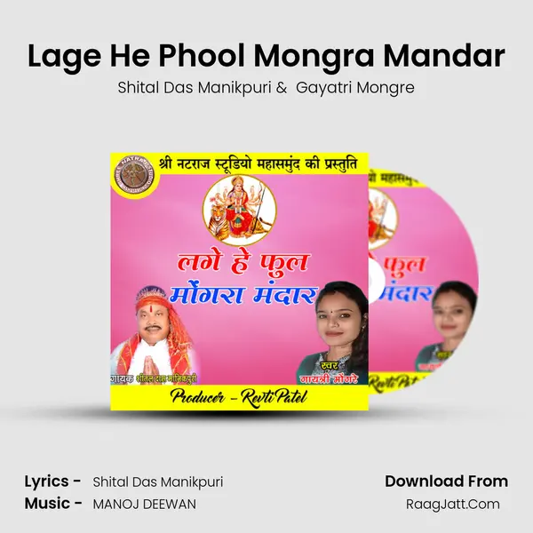 Lage He Phool Mongra Mandar MP3 Song by Shital Das Manikpuri Cover