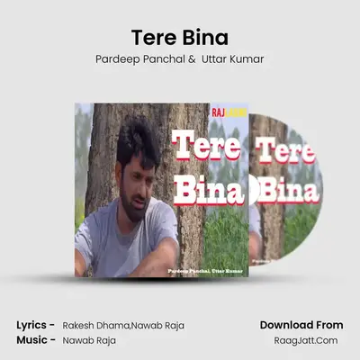 Tere Bina mp3 song