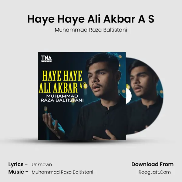 Haye Haye Ali Akbar A S - Single - Muhammad Raza Baltistani