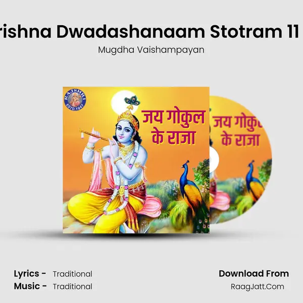 Shri Krishna Dwadashanaam Stotram 11 Times Cover
