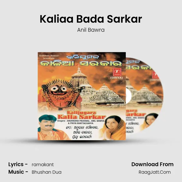 Kaliaa Bada Sarkar MP3 Song by Anil Bawra Cover