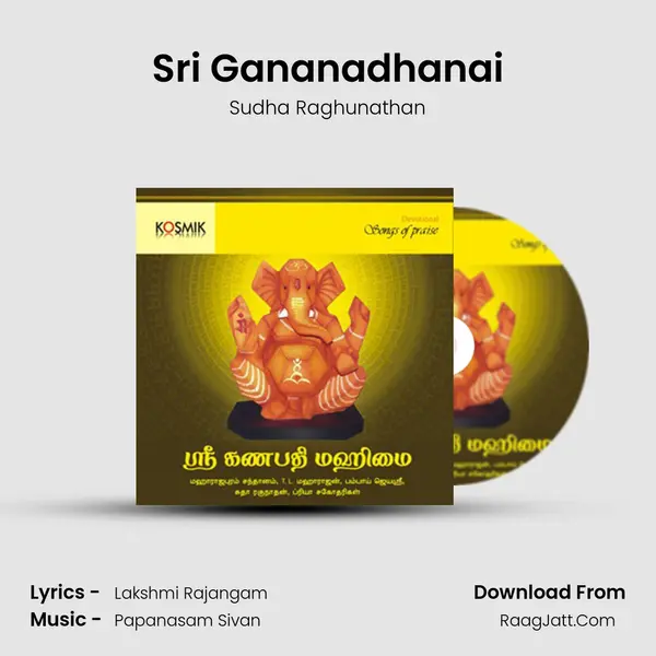 Sri Gananadhanai MP3 Song by Sudha Raghunathan Cover