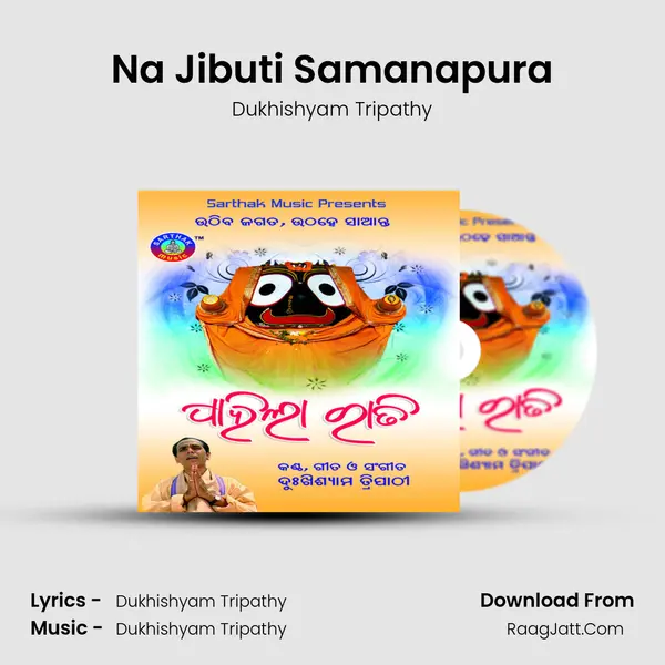 Na Jibuti Samanapura MP3 Song by Dukhishyam Tripathy Cover