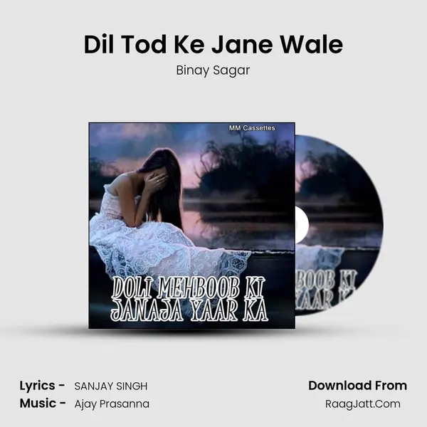 Dil Tod Ke Jane Wale MP3 Song by Binay Sagar Cover
