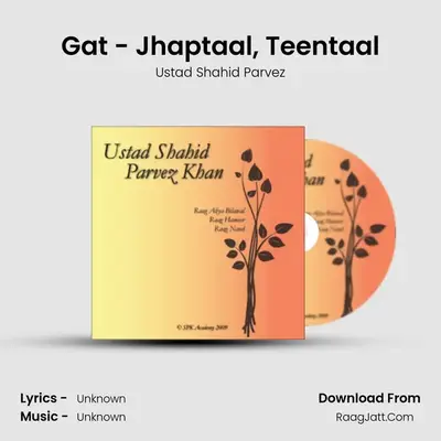 Shahid Parvez - Raag Rageswari On Sitar  - Ustad Shahid Parvez