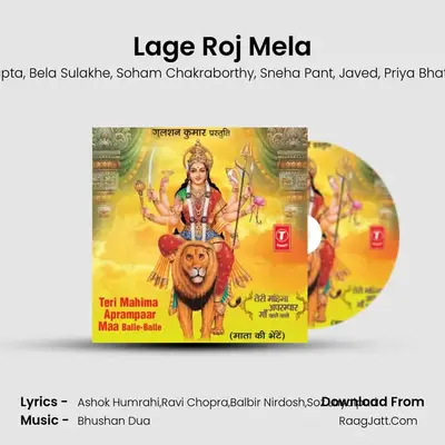 Lage Roj Mela MP3 Song by Debashish Dasgupta Cover